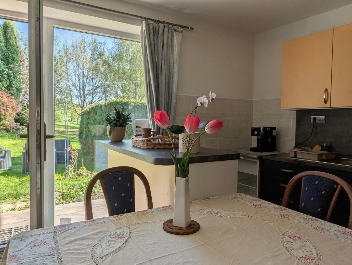 Stůl s tulipány u okna, venku zahrada